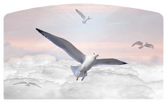 DACRO-101-PK Journey Home Clouds Birds Pink